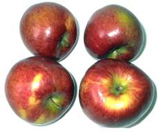 Äpfel-4.jpg